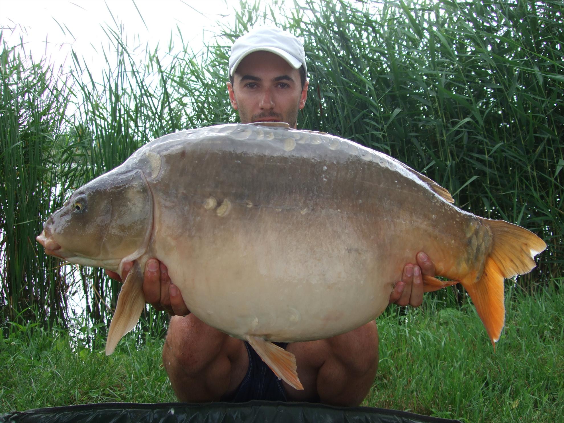 Nagykallo 2012 - 238.JPG